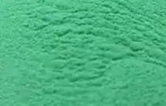 绘画中常见的绿色有哪几种呢