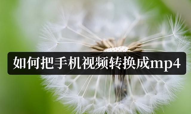 手机怎么将转换成mp4最简单方法