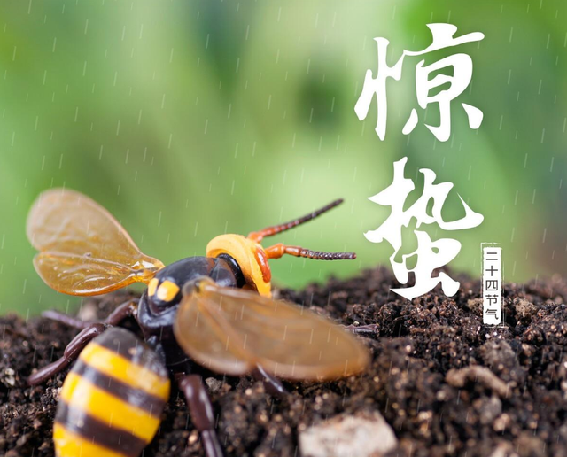 惊蛰吃什么提升阳气,惊蛰怎么吃能增强体质