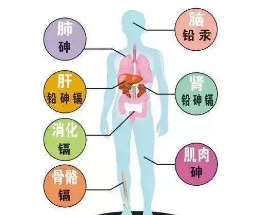 装修完了没味道就是没甲醛？环保型装修材料怎么选？