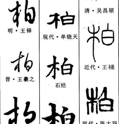 柏这个字在姓中念什么,寿州市柏家寨柏姓