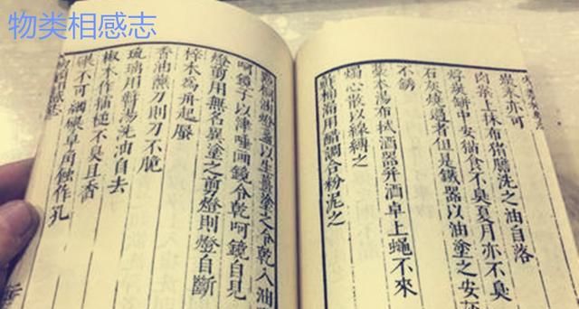栗子来自哪里？是国产吗？一口气了解栗子的前世今生