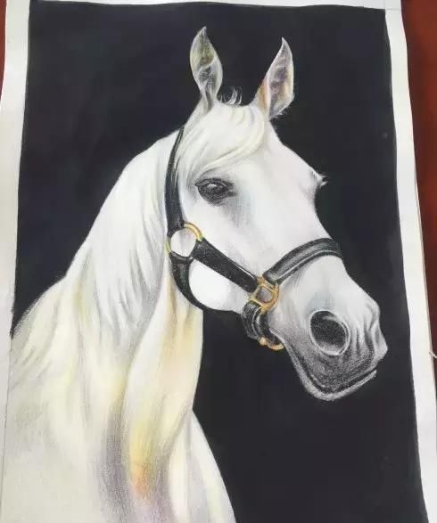漯河聋哑儿画画,要卖给河南最有钱的人吗