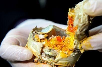 煮螃蟹是热水下锅还是冷水下锅好