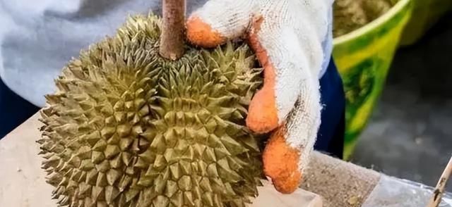 分享20年挑榴莲的经验，记住5个“金句”，一挑一个准，绵密香甜