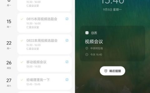 oppo有工作手机吗