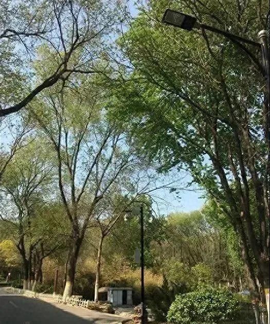 “五一”出游指南 | 这5个地方人少景美，看看有没有你想去的
