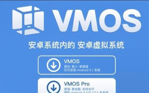 手机能否开两个虚拟机